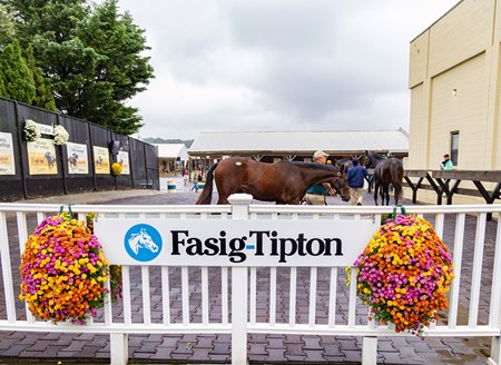 2024 Fasig-Tipton Midlantic Fall Yearlings, Scene