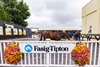 2024 Fasig-Tipton Midlantic Fall Yearlings, Scene