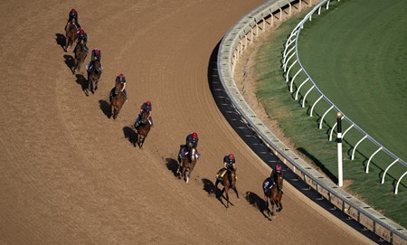 City of Troy - Horse Profile - BloodHorse