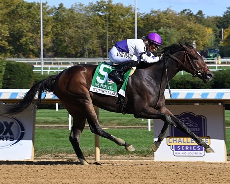 Scottish Lassie Tuning Up for Breeders’ Cup