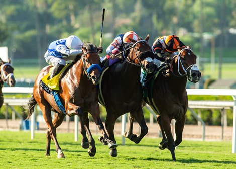 Iron Man Cal, Thought Process Score at Santa Anita