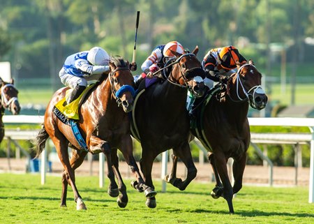 Iron Man Cal (middle) wins the Zuma Beach Stakes at Santa Anita Park