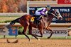 Professor Nick, Maiden Win, Mahoning Valley, October 28 2024
First winner for Air Strike