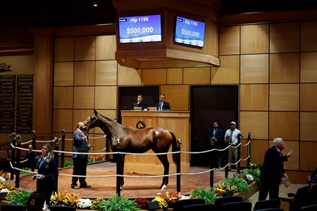 The Curlin filly consigned at Hip 1195 sells for $500,000 to top the third session of Fasig-Tipton's Kentucky October Yearlings Sale