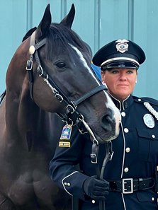 T.I.P. Thoroughbred of the Year Rockaway Park