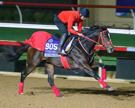 Ecoro Sieg, morning-line favorite in the Breeders' Cup Juvenile Turf Sprint, trains at Del Mar