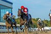 Foxy Junior wins the 2024 Maryland Million Distaff Stakes at Laurel Park