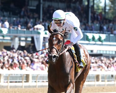 Impulse Buy - Horse Profile - BloodHorse