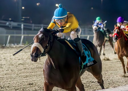 Free Like a Girl wins the 2024 Magnolia Stakes at Delta Downs