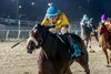 Free Like a Girl wins the 2024 Magnolia Stakes at Delta Downs