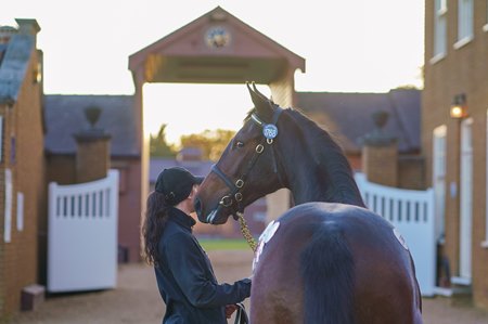 Tattersalls October Yearling Sale Book 3