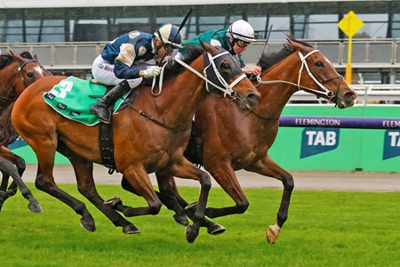 Via Sistina (inside) edges stablemate Buckaroo to win the Turnbull Stakes at Flemington Racecourse