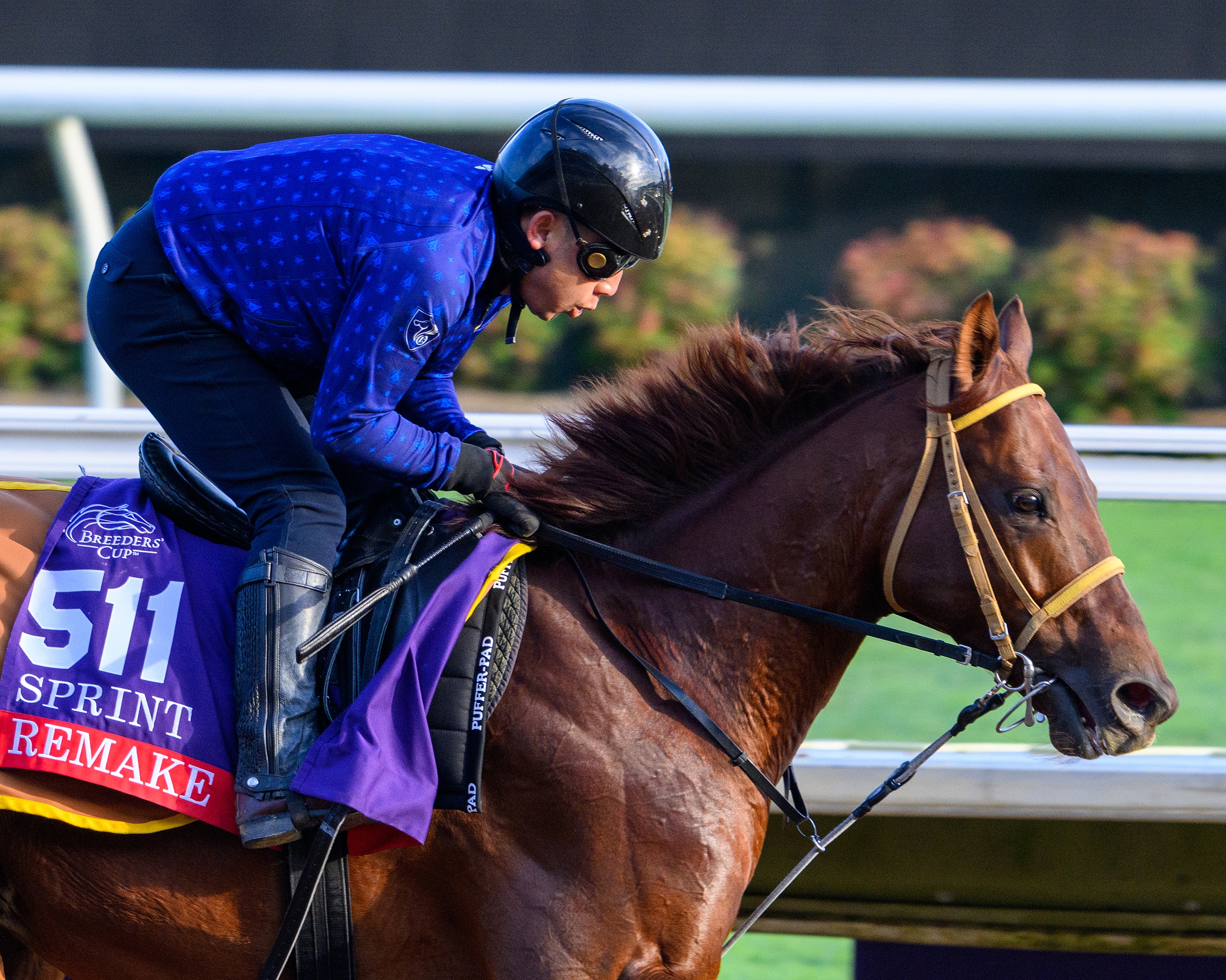 Japan's Remake Good Fit in Breeders' Cup Sprint - BloodHorse