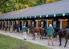 Rain hasn’t dampened the enthusiasm for the buyers as inspections of offerings for the Fasig-Tipton Saratoga Fall Mixed sale October 14, 2024 in Saratoga Springs, NY.  Fasig Tipton Photo