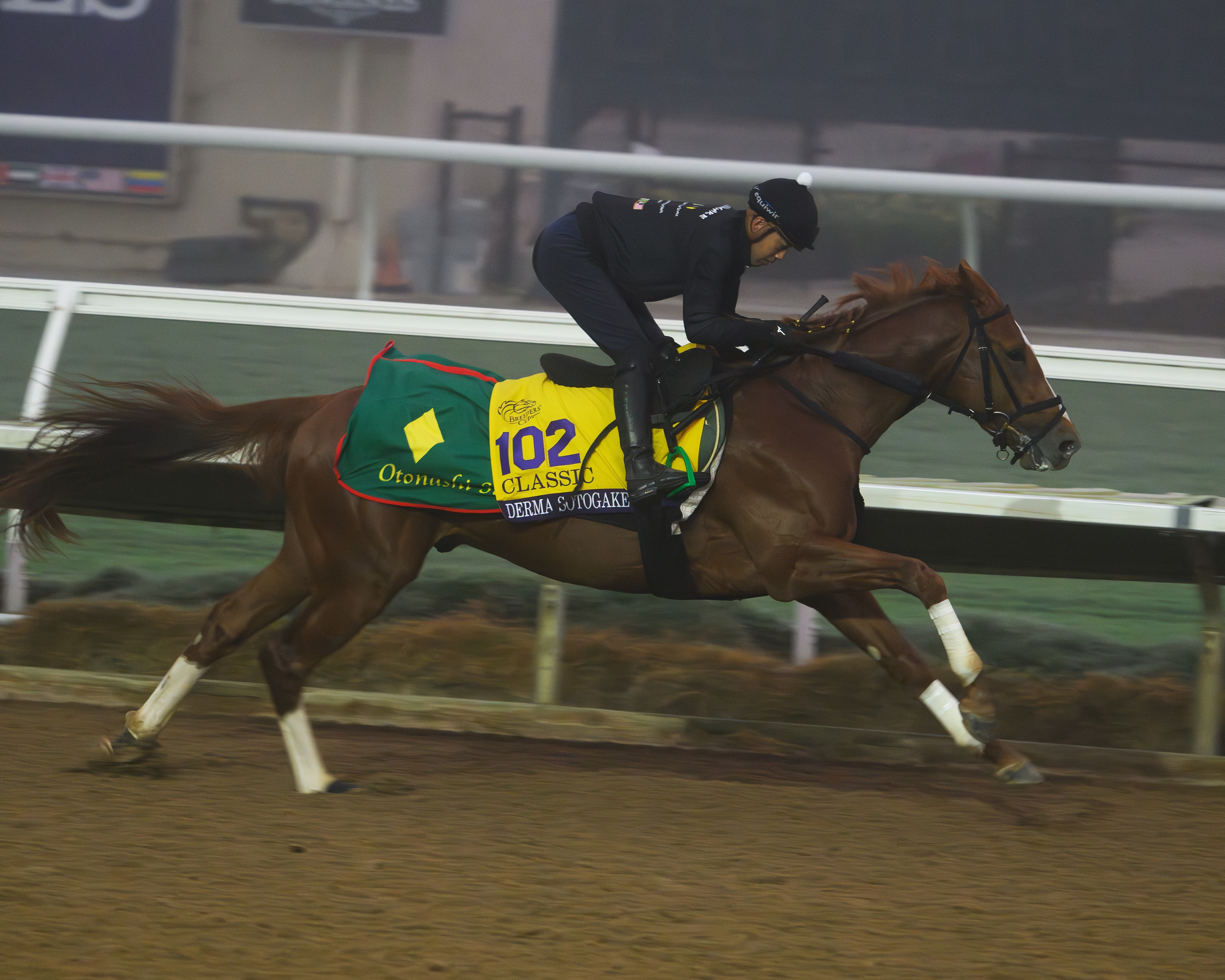 Meet the Field for the 2024 Breeders' Cup Classic - Slideshow