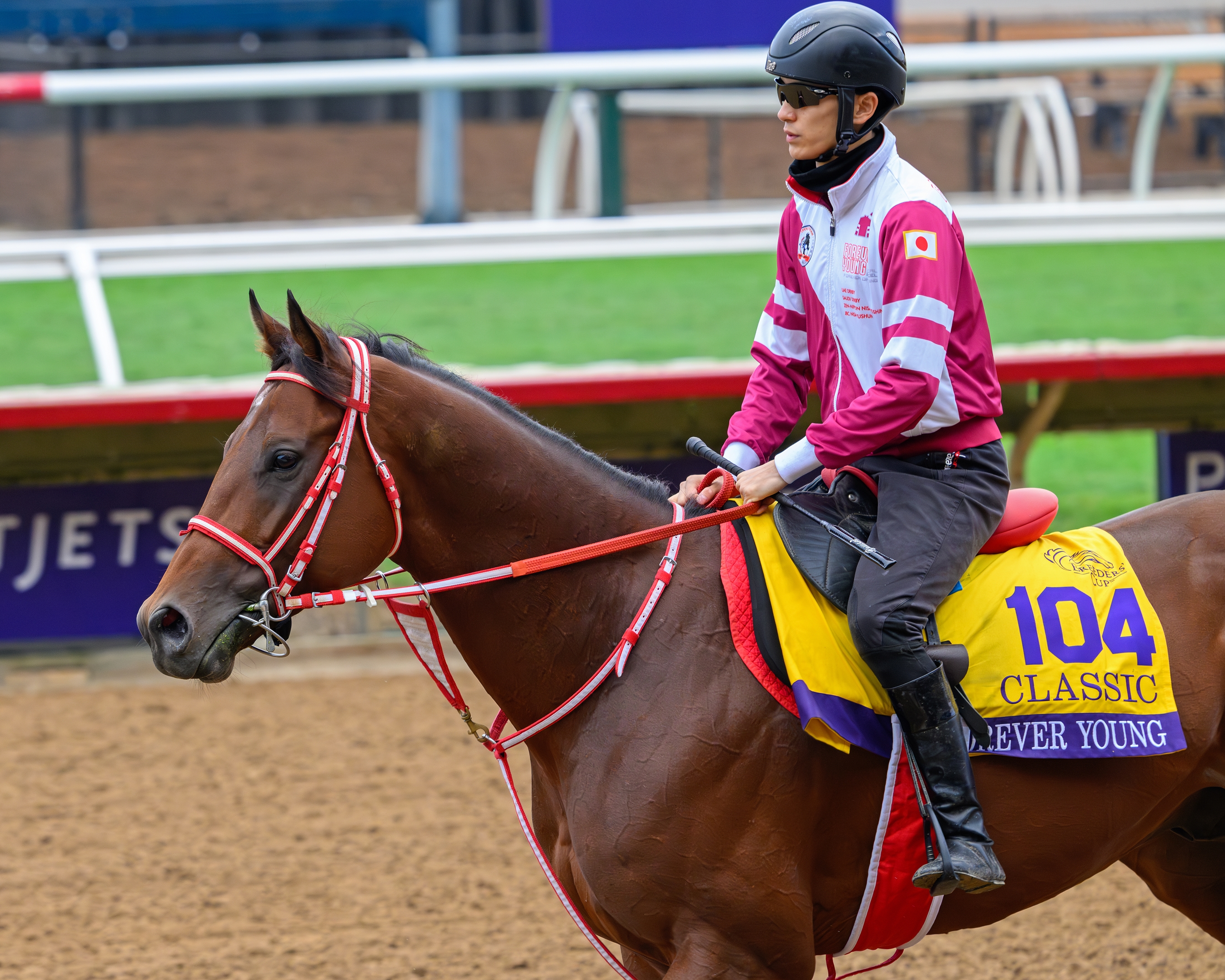 Meet the Field for the 2024 Breeders' Cup Classic - Slideshow