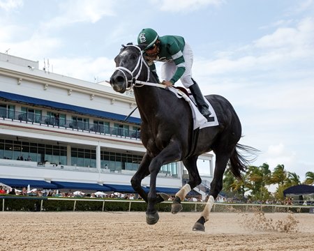 Rated by Merit wins the FTBOA Florida Sire Affirmed Stakes at Gulfstream Park