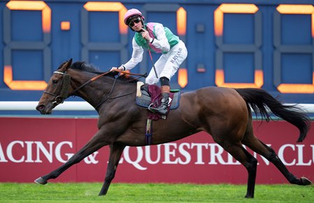 Bluestocking wins the Prix de'l Arc de Triomphe at ParisLongchamp