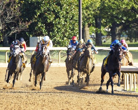 The field turns for home in the Breeders' Futurity at Keeneland