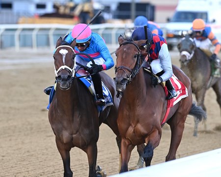 Pretty Ana (inside) defeats Alpine Princess in the Comely Stakes at Aqueduct Racetrack