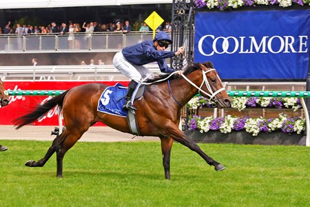 Switzerland wins the 2024 Coolmore Stud Stakes at Flemington Racecourse