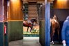 Goffs 2024 Autumn Yearling Sale
