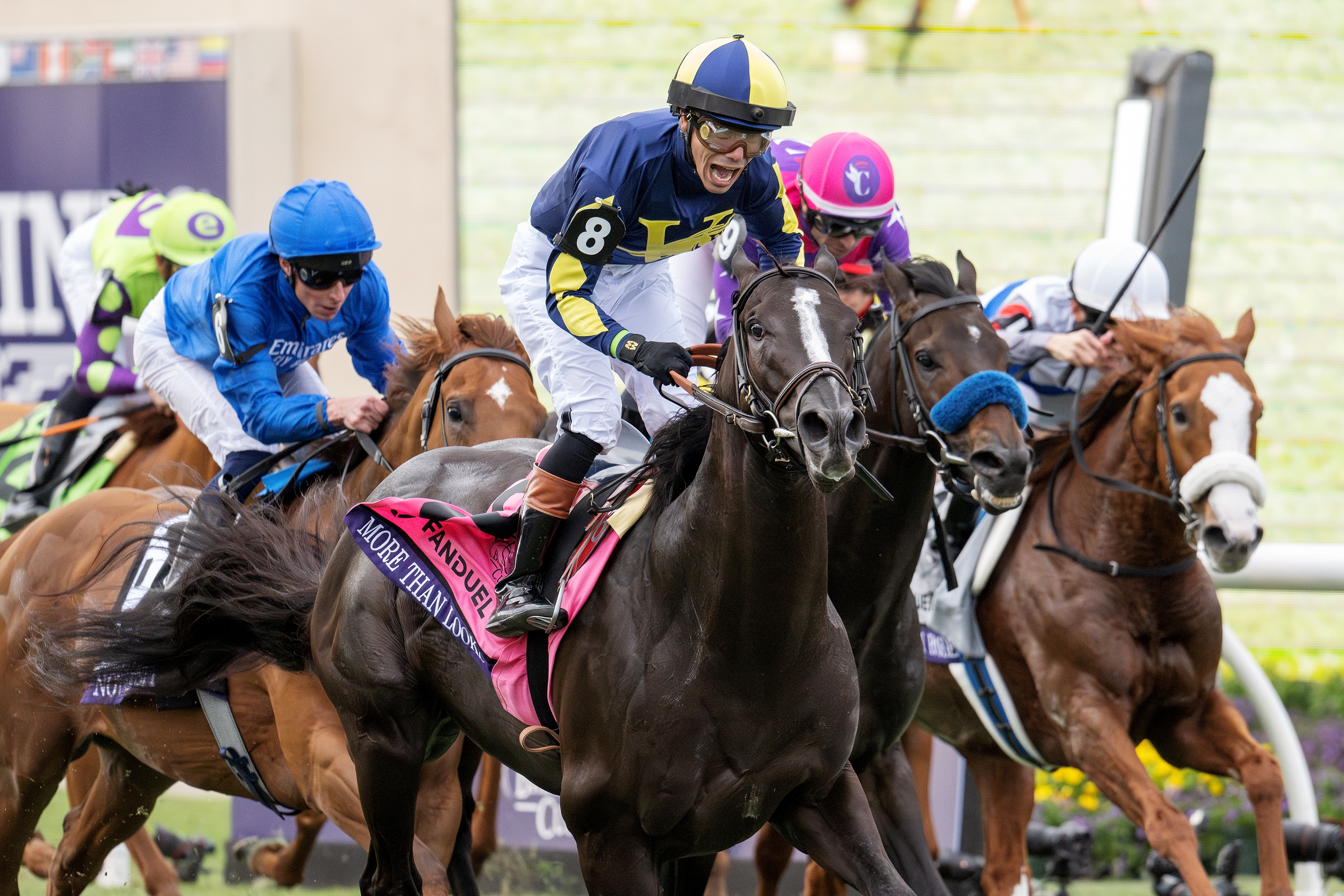 2024 Breeders' Cup Slideshow - Slideshow - BloodHorse