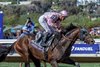 Sierra Leone with Flavien Prat wins the Breeders’ Cup Classic (G1) at Del Mar Racetrack in Del Mar, CA on November 2, 2024.