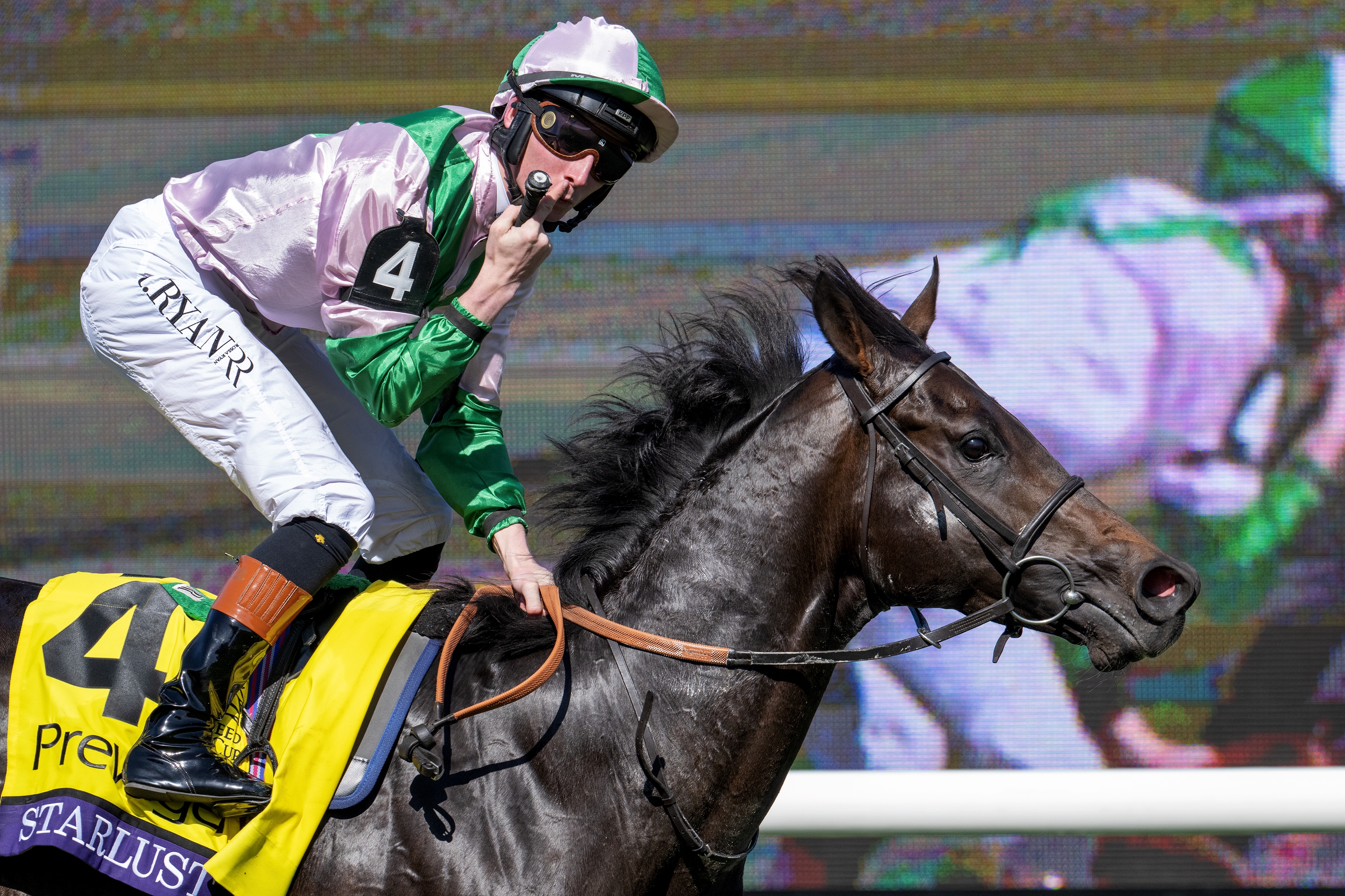 2024 BREEDERS' CUP まとめセット 2024 BREEDERS' CUP まとめセット 2024 BREEDERS' CUP まとめセット