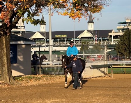 Freedom Road, led by groom Jose Zepeda, exits the track after training for the Claiming Crown at Churchill Downs