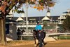 Freedom Road, led by groom Jose Zepeda, exits the Churchill Downs track after training for the Claiming Crown