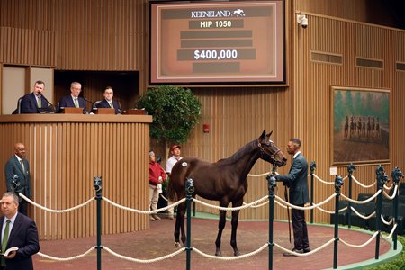 Hip 1050, a weanling colt by Life Is Good, sells for $400,000 at the Keenland November Breeding Stock Sale