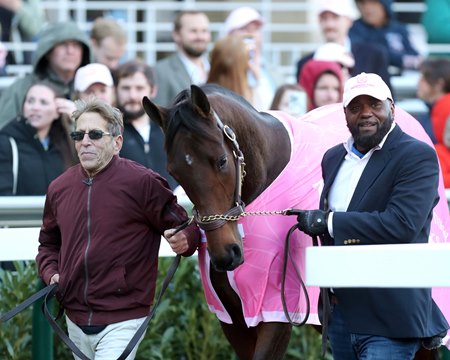 Thorpedo Anna is paraded in November 2024 at Churchill Downs 