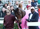 Thorpedo Anna, Paddock Salute, Churchill Downs, 11-29-24
