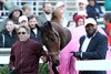 Thorpedo Anna, Paddock Salute, Churchill Downs, 11-29-24