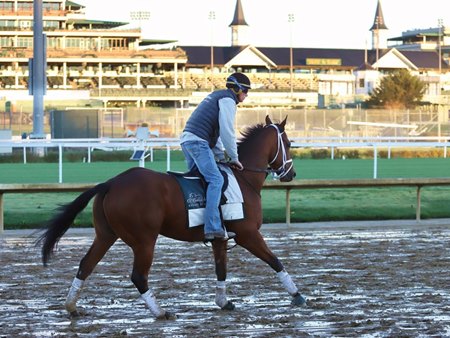 Trainer Carl O'Callaghan gallops East Coast Girl at Churchill Downs