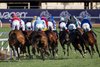 Lake Victoria with Ryan Moore wins the Juvenile Fillies Turf (G1T) at Del Mar Racetrack in Del Mar, CA on November 1, 2024.