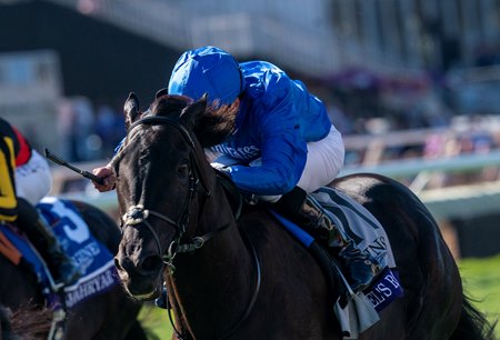 Rebel's Romance wins the 2024 Breeders' Cup Turf at Del Mar
