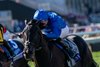 Rebel&#39;s Romance and William Buick win the Breeders&#39; Cup Turf (G1T) at Del Mar Thoroughbred Club in Del Mar, CA on November 2, 2024.