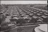 Santa Anita Assembly Center, Arcadia, California. A panoramic view of the Santa Anita assembly center where evacuees from this section await transfer to War Relocation Authority centers to spend the duration