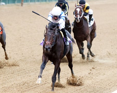 Mo Quality breaks his maiden at Churchill Downs