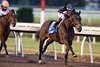 Jockey Rafael Hernandez guides Stormcast to victory in the 2024 Bessarabian Stakes for owner K E M Racing Stable and trainer Mark Casse