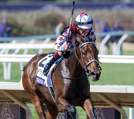 Thorpedo Anna Dominates in Breeders’ Cup Distaff