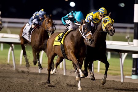 Nobals (outside) defeats Patches O'Houlihan in the Kennedy Road Stakes at Woodbine