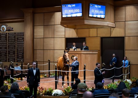 Hip 197, Denim and Pearls, sells to Spendthrift Farm for $2.8 million