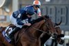 Henri Matisse (Ryan Moore) wins the Juvenile Turf
Del Mar 1.11.24 Pic: Edward Whitaker