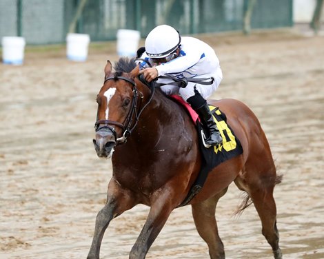 Donut God Heads Inaugural; Half to Flightline Debuts