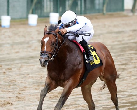 Donut God wins his lone start at Churchill Downs