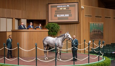 Roses for Debra in the ring during the Keeneland November Breeding Stock Sale