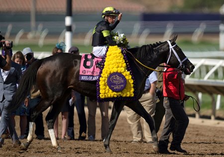 Soul of an Angel after winning the 2024 Breeders' Cup Filly and Mare Sprint at Del Mar